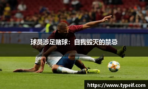 NG·28中国南宫网站